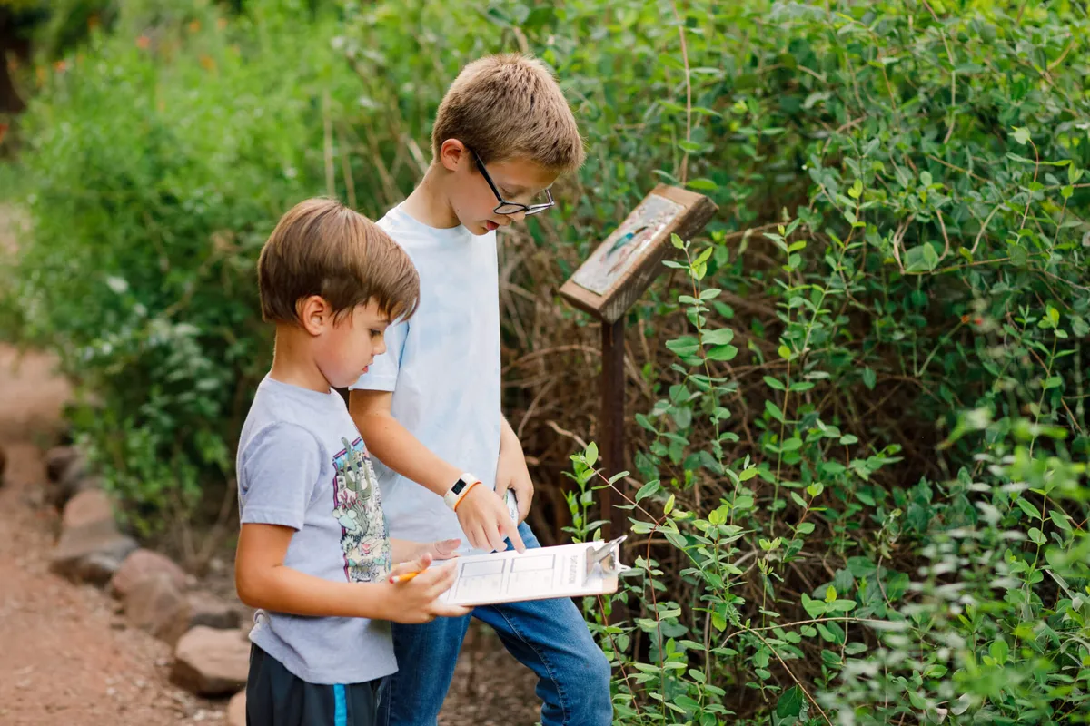 Family Workshop: Nature Journaling — official source image