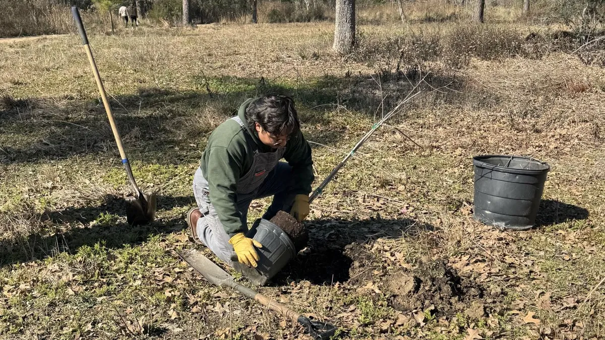 Tree Planting Workshop — Houston Arboretum — official source image