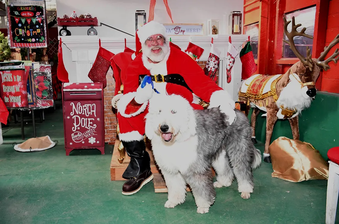 Santa's Tree Farm and Village (choose-and-cut Christmas trees, train and Santa) — official source image