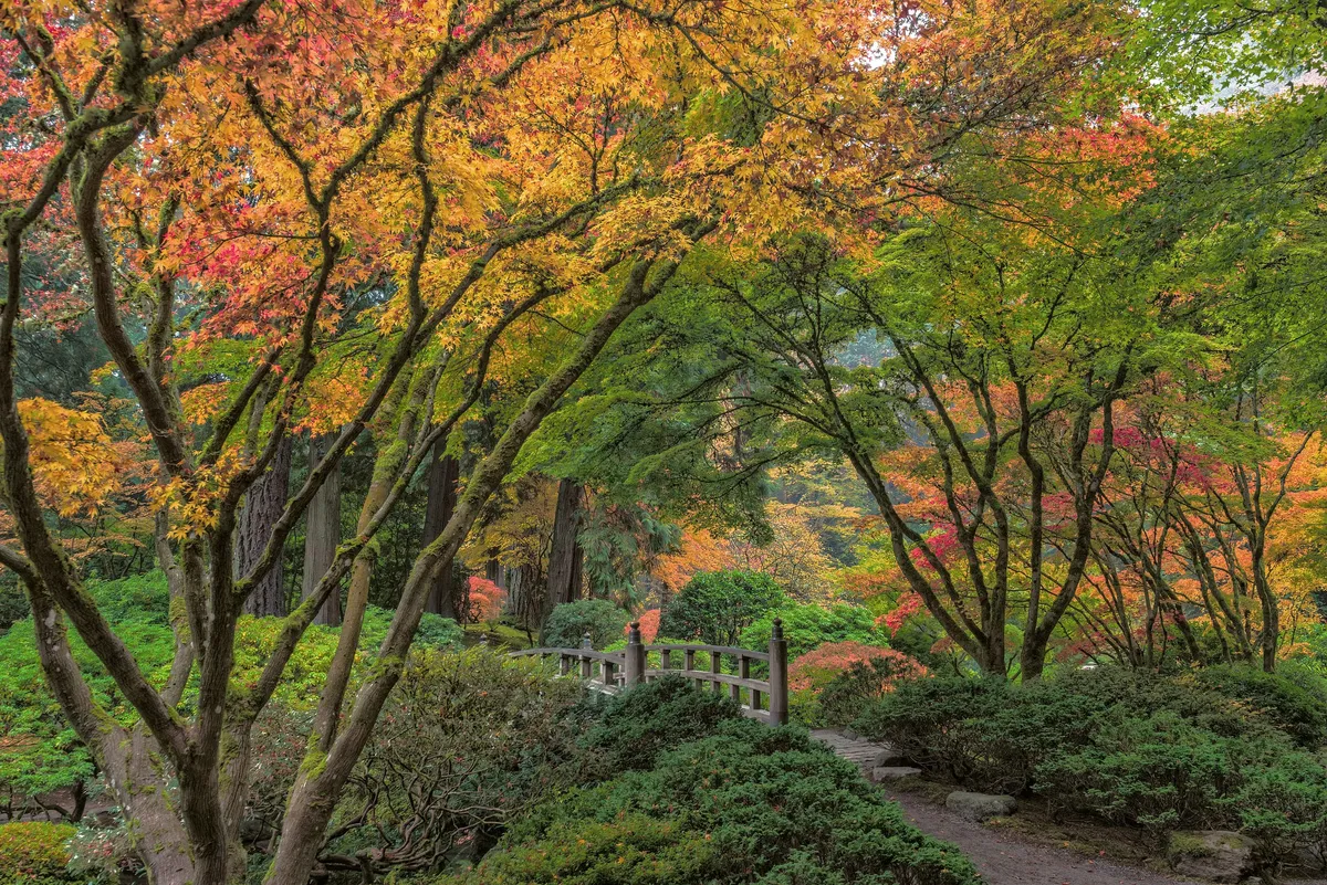 Portland Japanese Garden — official source image