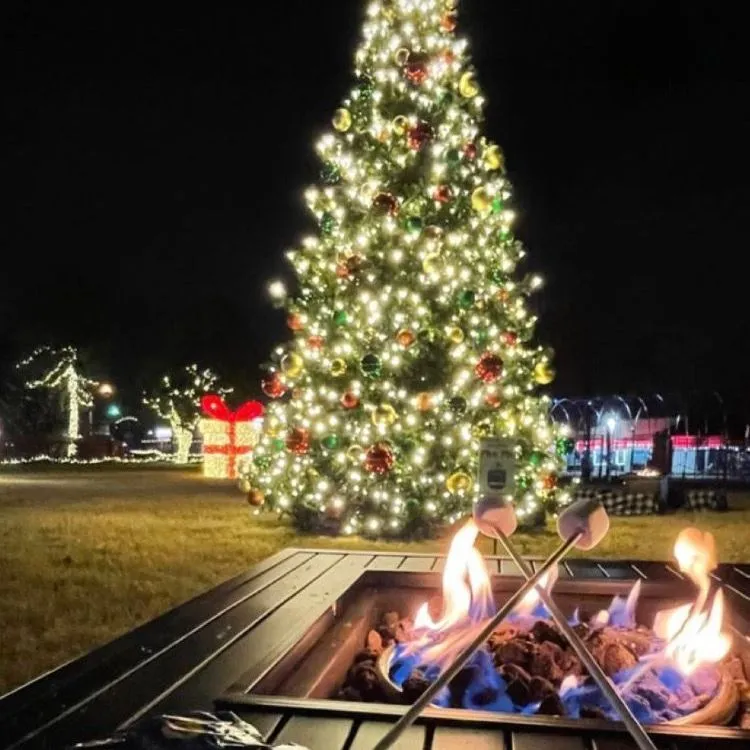 Lights on the Farmstead 2026 — official source image