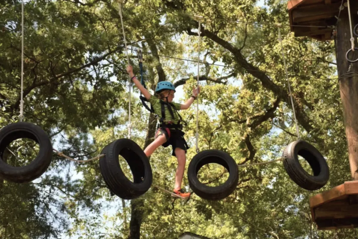 Treetop Trick-or-Treat at Texas TreeVentures — official source image
