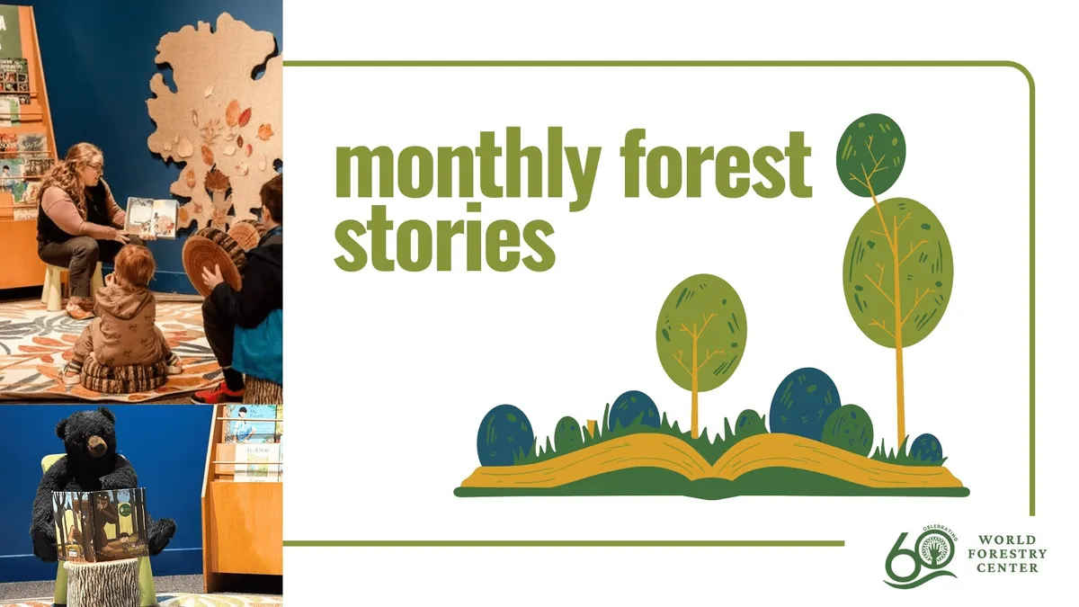 Forest Stories storytime at the Discovery Museum — official source image