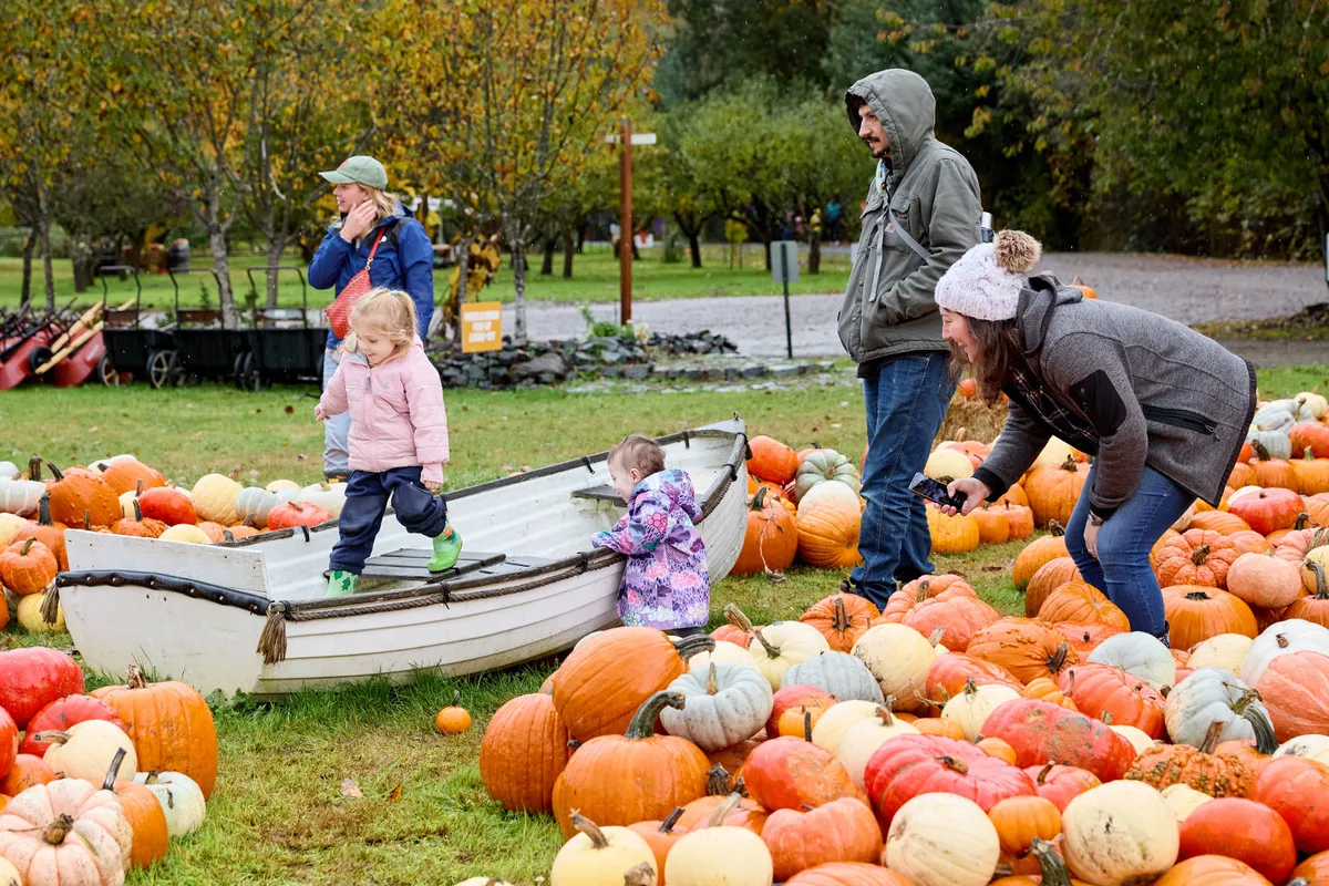 Oxtober Harvest Festival at Oxbow Farm — official source image