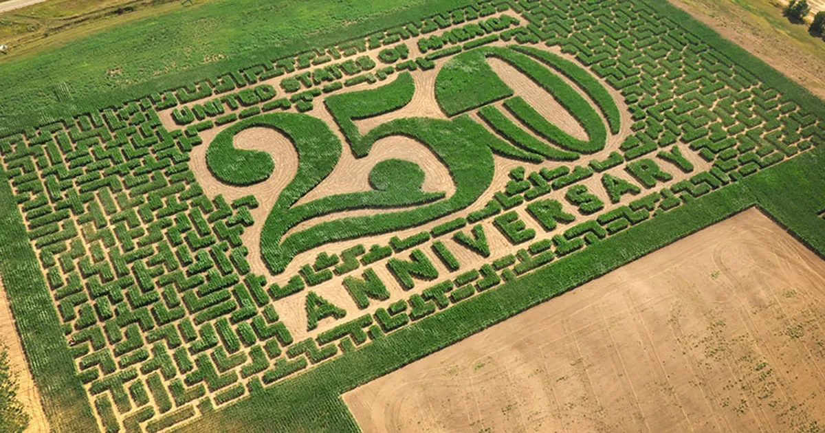 Twin Cities Harvest Festival & Maze — venue image