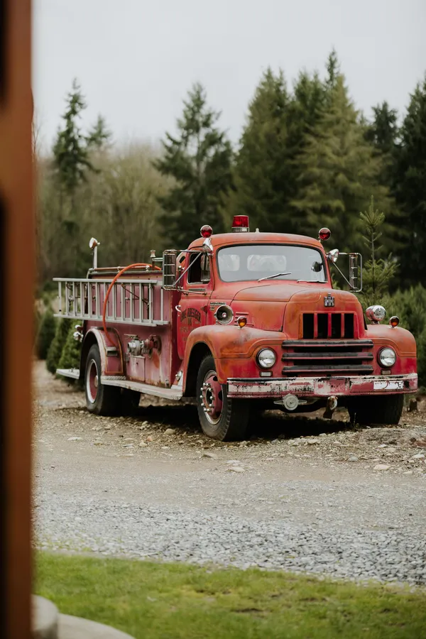 Trinity Tree Farm U-Cut Christmas Trees and Santa Visits — official source image