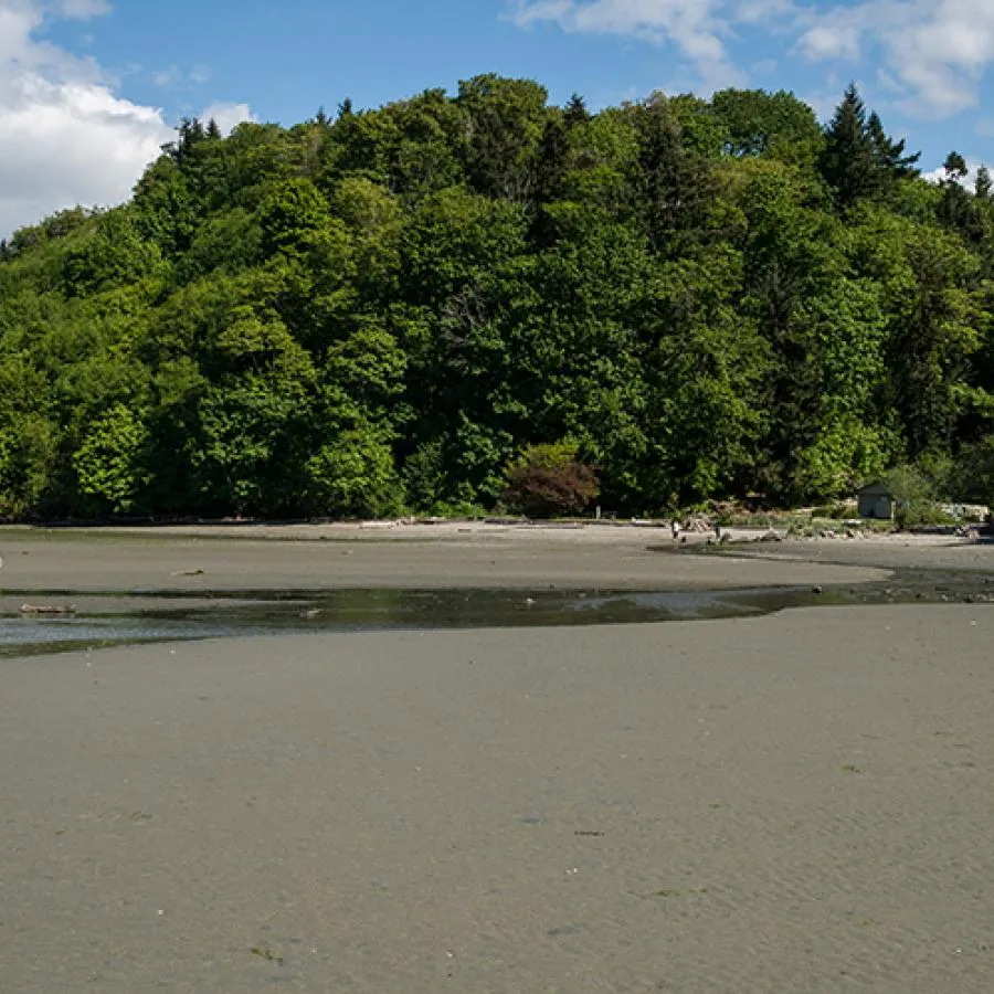 Dash Point State Park — official source image
