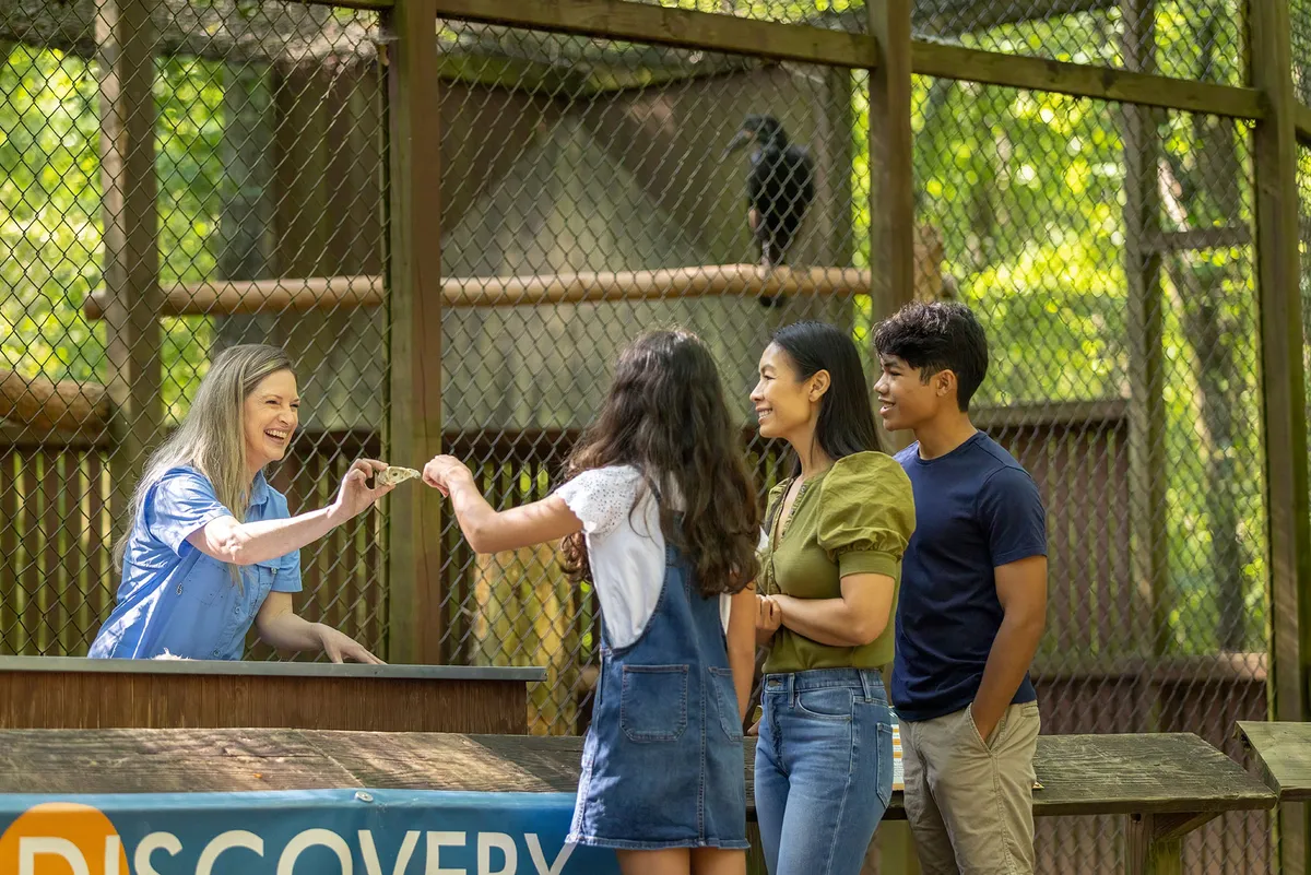 Carolina Raptor Center – Raptor Trail — official source image