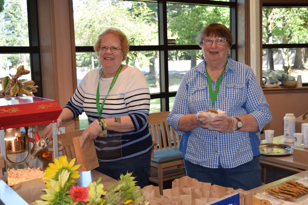 Building Madness! LEGO and Block Building – South Hill Library — venue image
