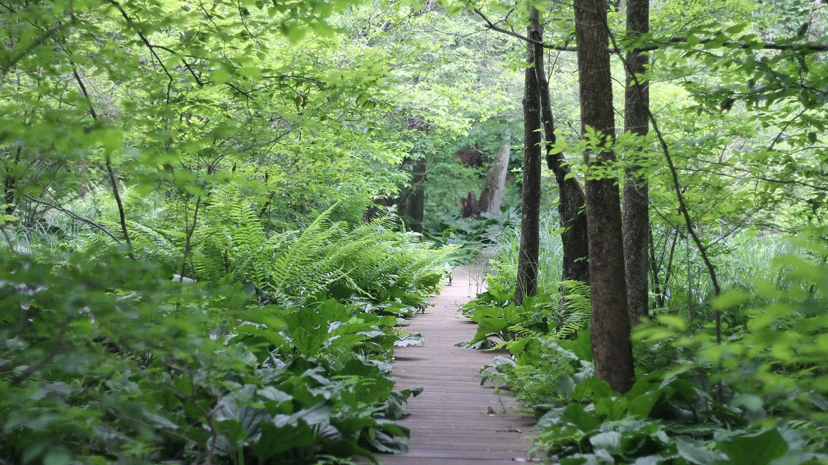 Women Take to the Trails — official source image