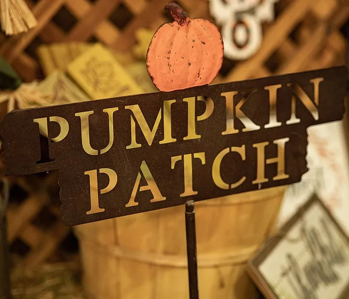 Live Oak Canyon Pumpkin Patch & Christmas Tree Farm (2026 pumpkin season) — official source image