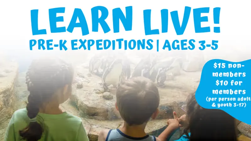 Learn Wild! Home School Programs at Moody Gardens — official source image