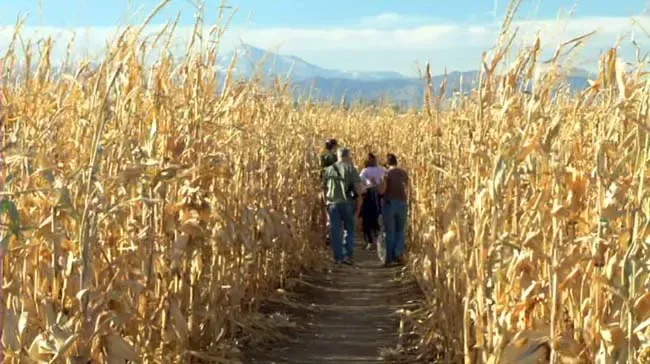 Rock Creek Farm Pumpkin Patch and Corn Maze — official source image