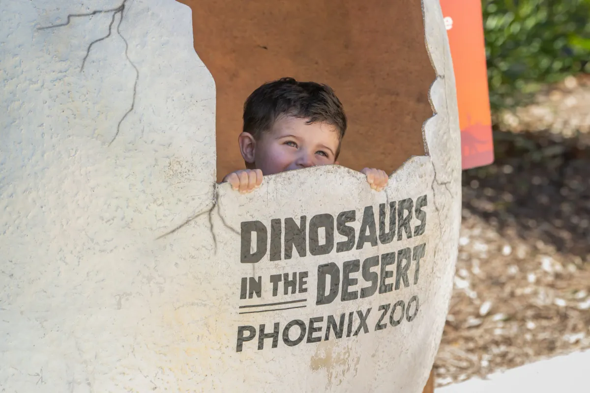Sensory-friendly Dinosaurs in the Desert — official source image