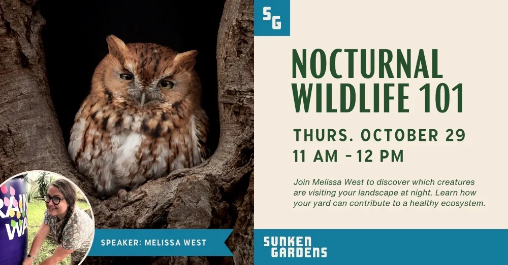 Nocturnal Wildlife 101: Things That Go Bump in the Night — official source image
