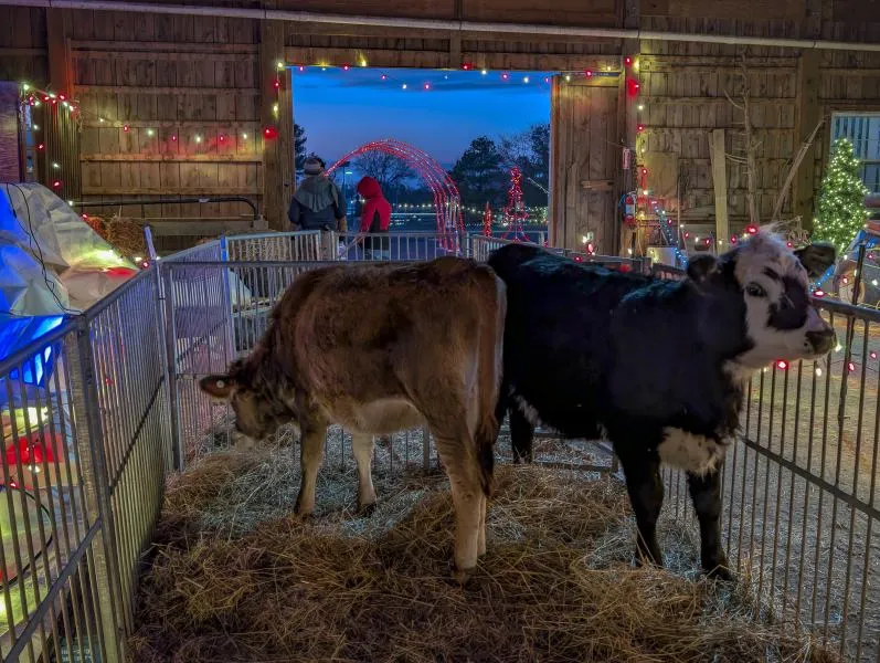 Holiday on the Farm at Frying Pan Farm Park — official source image