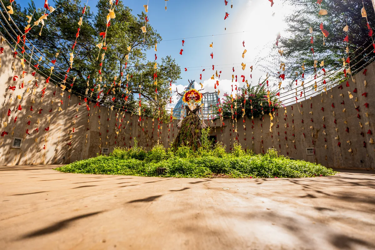 Jardín de las Catrinas fall exhibition — official source image