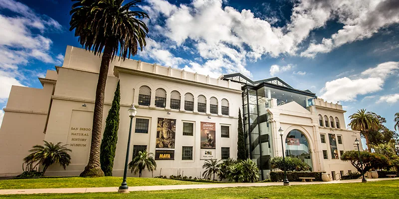 Nat at Night at the San Diego Natural History Museum — program image