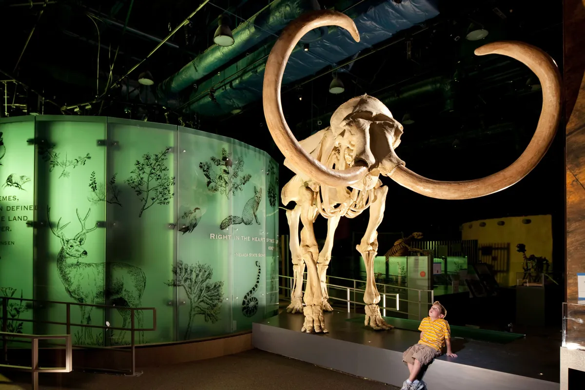 Nevada State Museum, Las Vegas — official source image