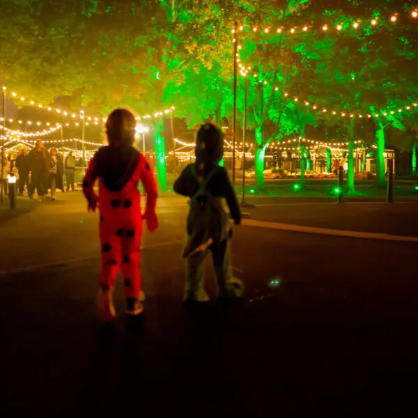 Pumpkins Aglow — official source image