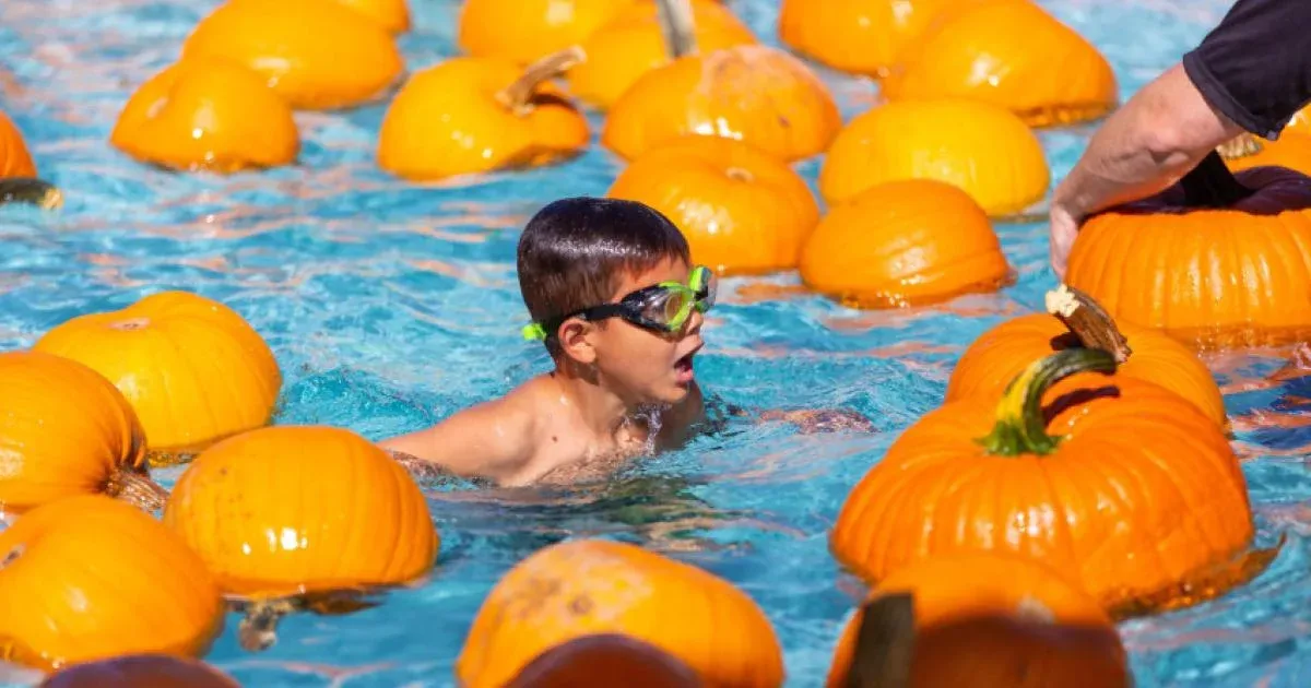 Pumpkin Dunk — official source image