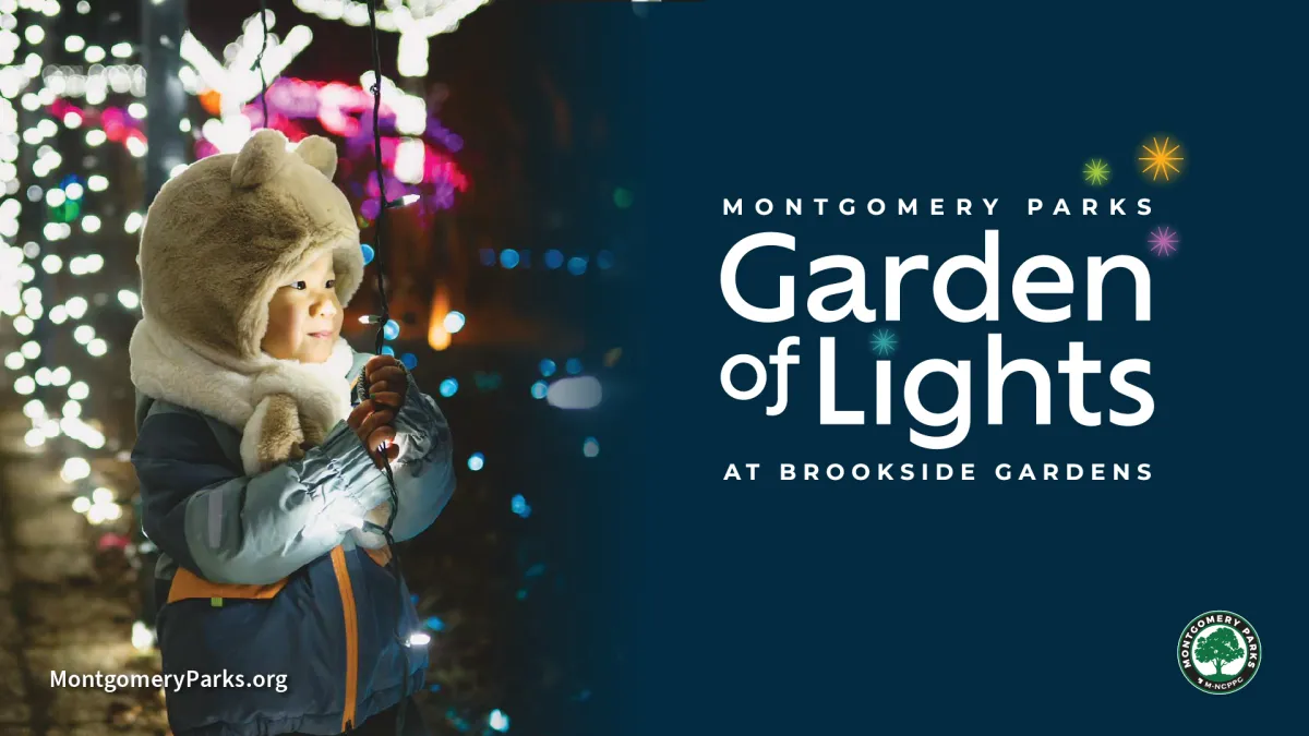Garden of Lights 2026–27 — official source image
