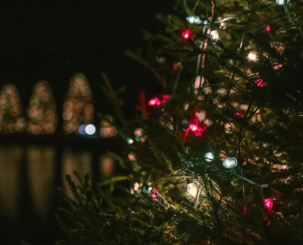 McAdenville Tree Lighting Ceremony — official source image