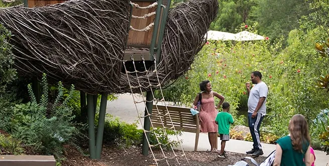 Lou Glenn Children's Garden — Atlanta Botanical Garden — venue image