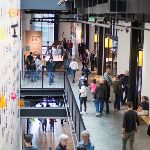 Burke Museum of Natural History and Culture — official source image