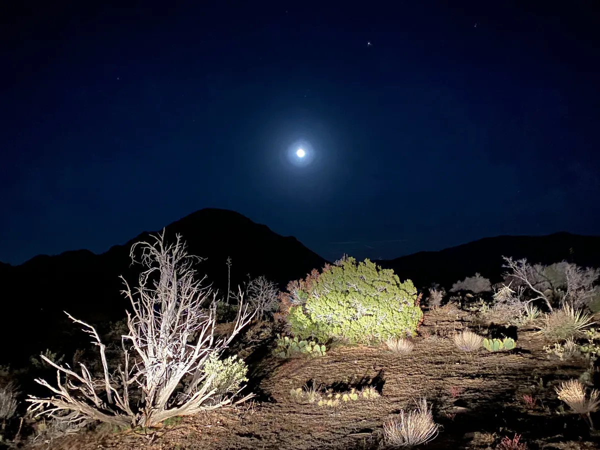 Star Party in the Mountains — official source image