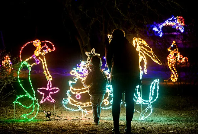 Riparian After Dark: Holiday Light Trail — official source image