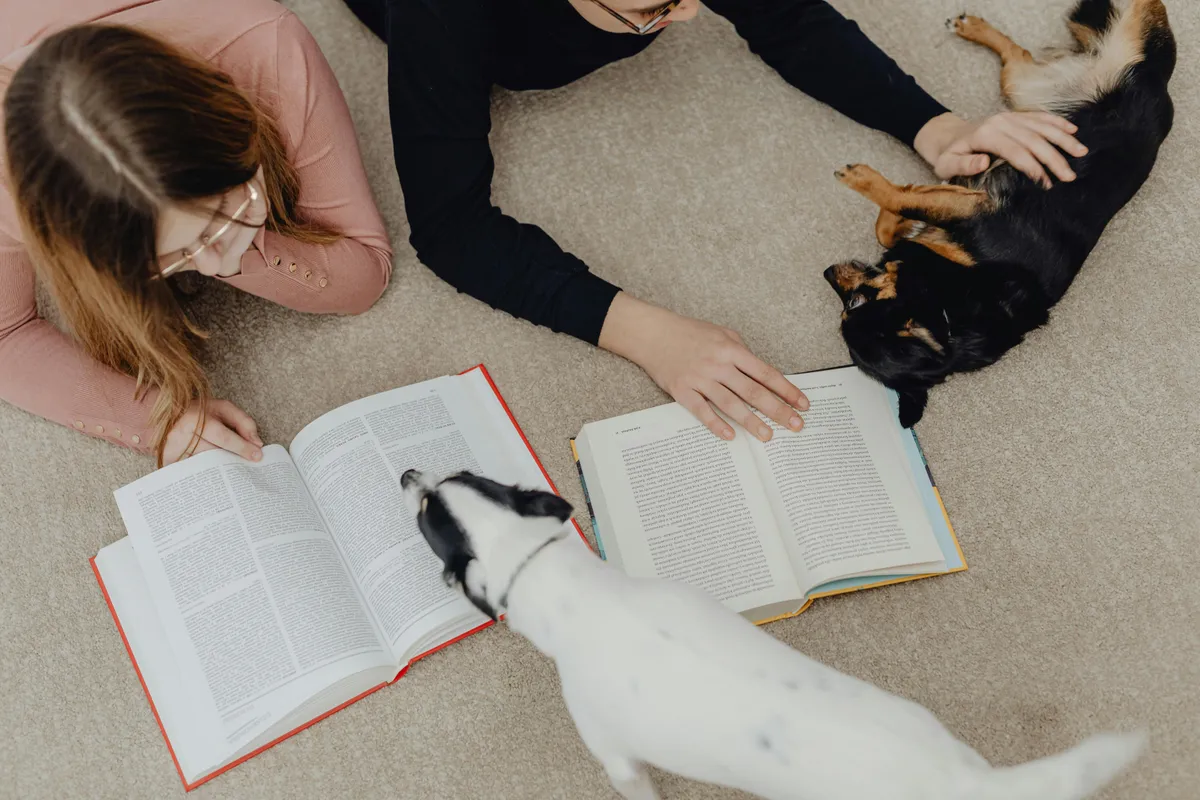 Paws to Read (College Hill) — program image