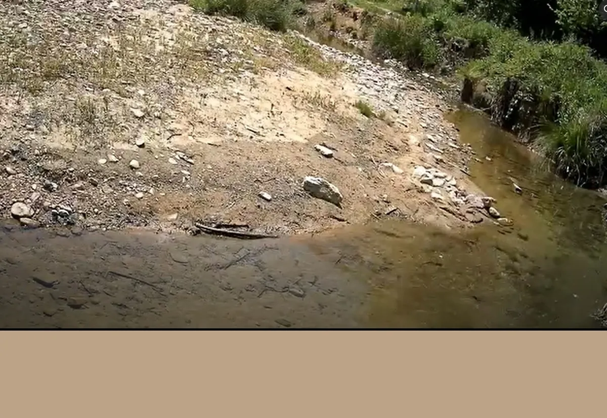 Filtration Frenzy: Water Filtration Hike to Minebank Run — venue image