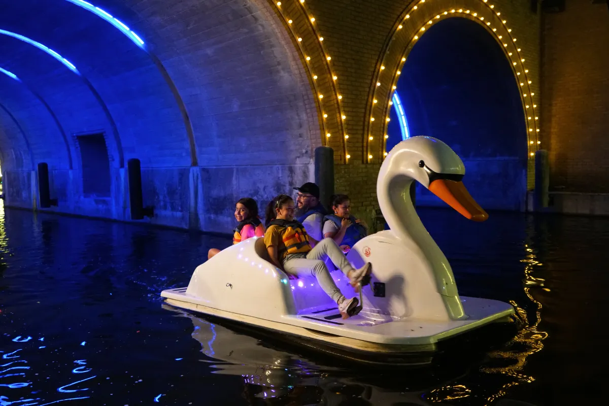 Starlight Swans on The Woodlands Waterway — official source image