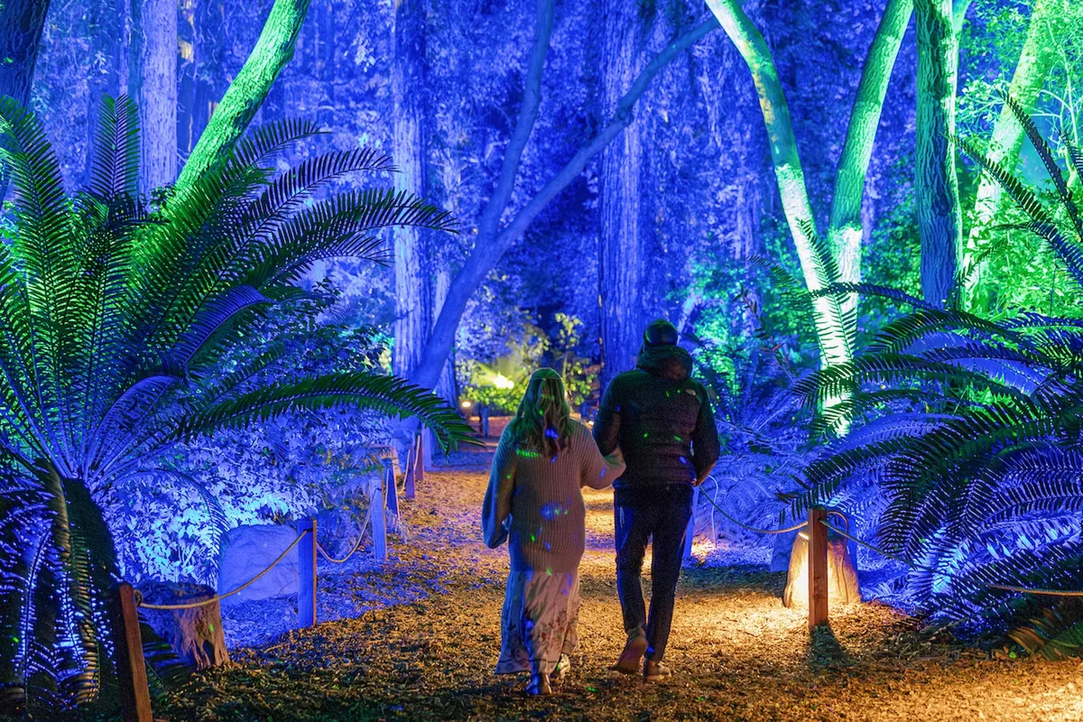 Enchanted Forest of Light at Descanso Gardens — official source image