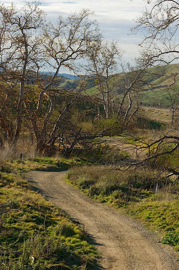 Chino Hills State Park — official source image