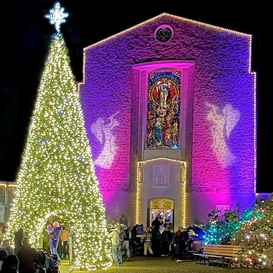 Christmas Festival of Lights at The Grotto — official source image