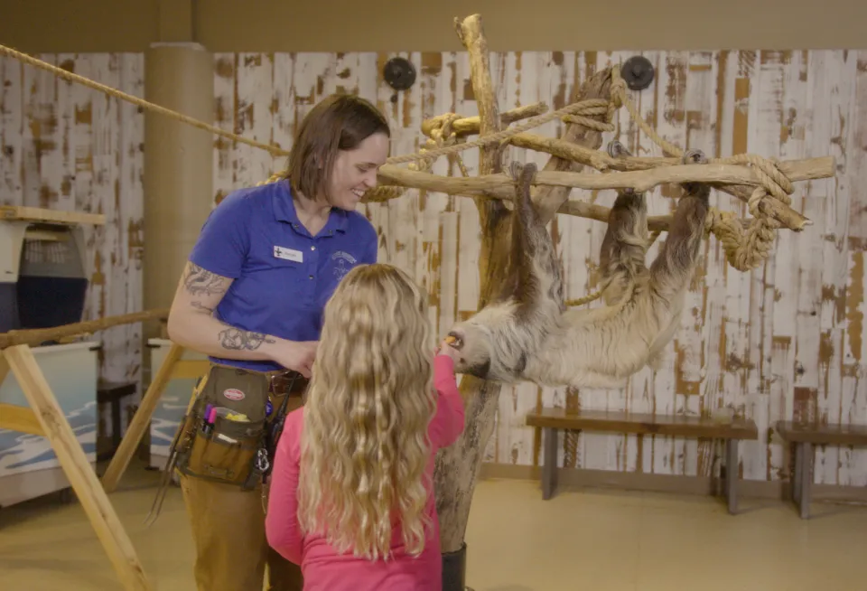 Aquarium Bingo for Books (ages 2-5) — venue image