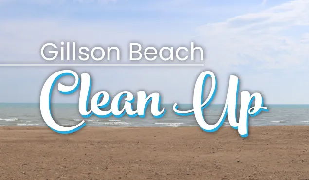 Gillson Beach Clean-Up with Go Green Wilmette — official source image