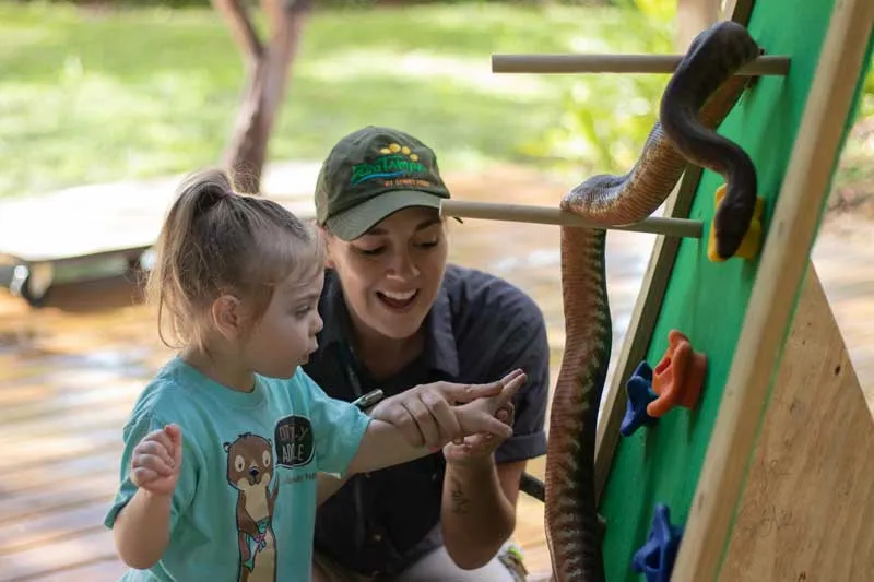 Day of Discovery: Sensory-Friendly Morning at ZooTampa — official source image