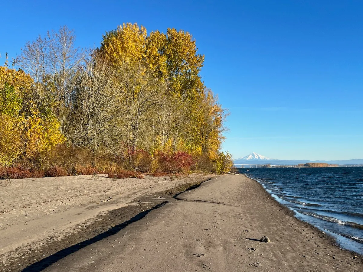 Wednesday Wanders Guided Nature Walk — official source image