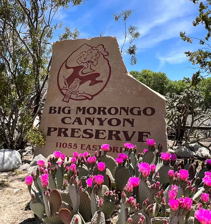 Big Morongo Canyon Preserve — official source image