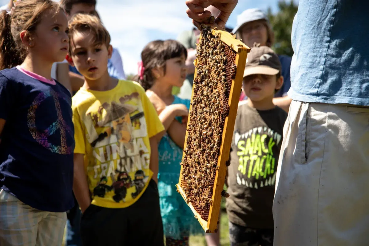 Little Explorers: What’s Buzzing and Blooming? — official source image