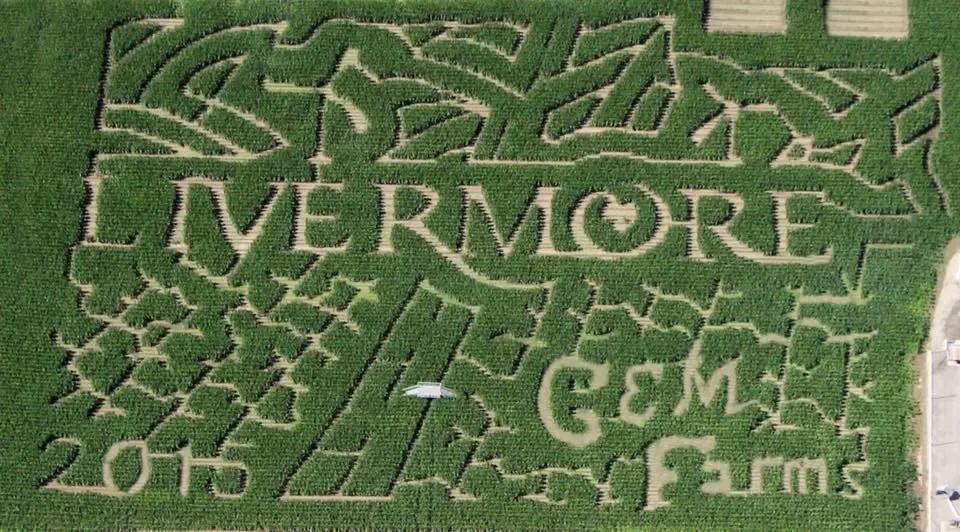 G&M Farms Pumpkin Patch & Corn Maze (Livermore) — official source image