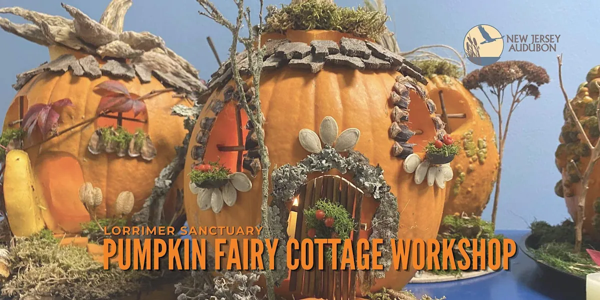 Pumpkin Fairy Cottage Workshop - Lorrimer Sanctuary — official source image