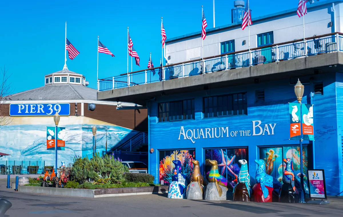 Aquarium of the Bay — official source image