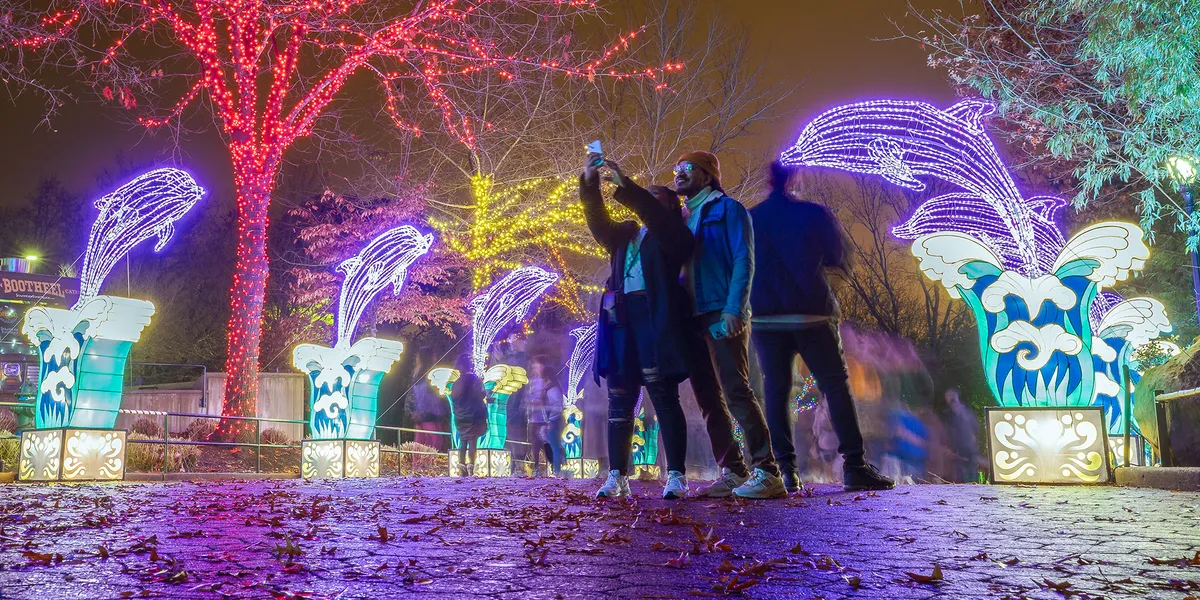 National Zoo ZooLights: Opening Night 2026 — official source image