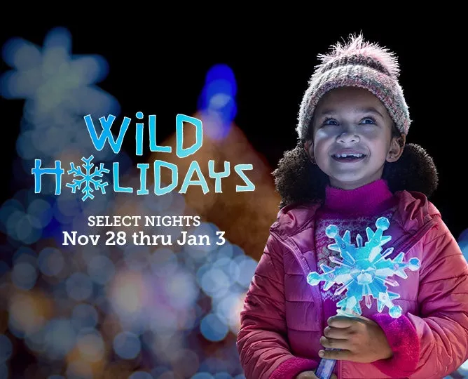 Wild Holidays at the San Diego Zoo Safari Park — official source image