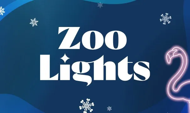 Zoo Lights at Denver Zoo — official source image