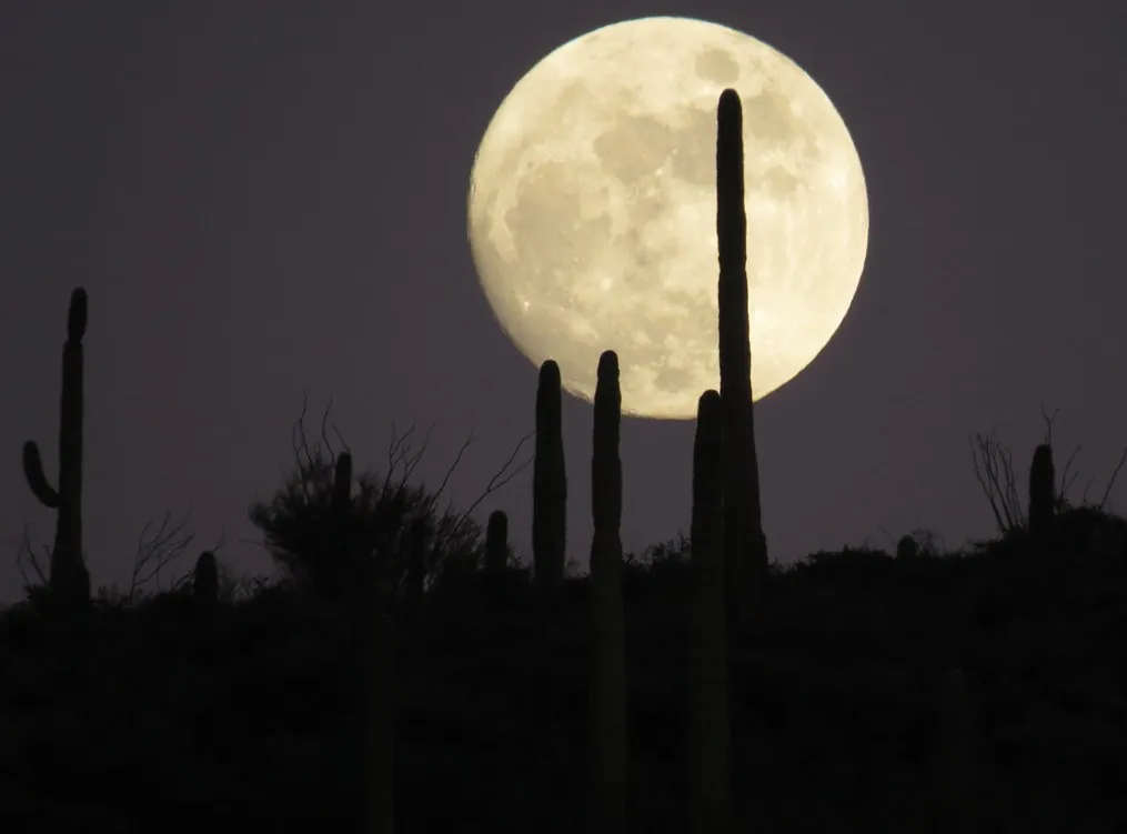Full Moon Discovery Hike — Spur Cross Ranch — venue image